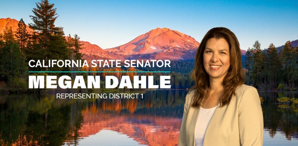 California Senate Bill 1135 Secures 5 Million to Support Ranchers Facing Wolf Conflicts