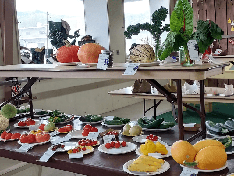 Modoc District Fair Unites Cedarville Community with Traditions Agriculture and Fun Events