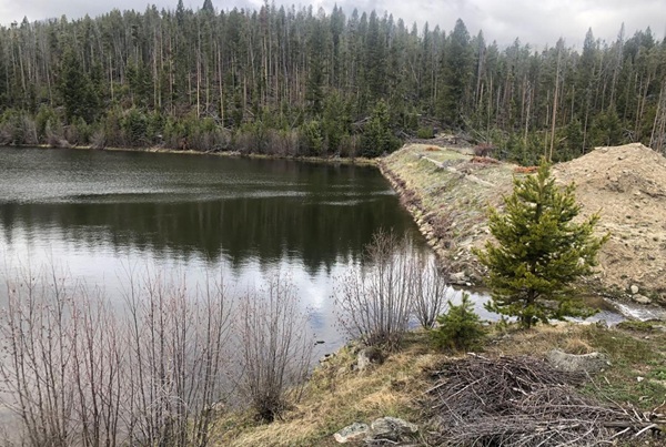 US Forest Service Proposes Rescinding Roadless Rule to Boost Local Forest Management and Reduce Wildfire Risk