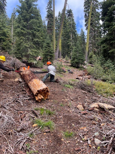 Mount Shasta Trails Crew Clears Hundreds of Trees and Restores Over 100 Miles of Trails