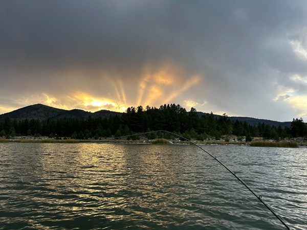 Lake Almanor Fishing Report