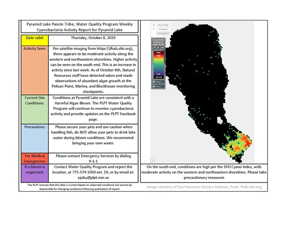 Pyramid Lake Cyanobacteria Bloom Update October 2026 Health and Safety Advisory