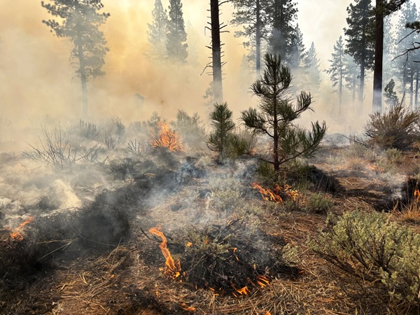 Lassen National Forest Controlled Burn Reduces Wildfire Risk with Joint Firefighter Efforts
