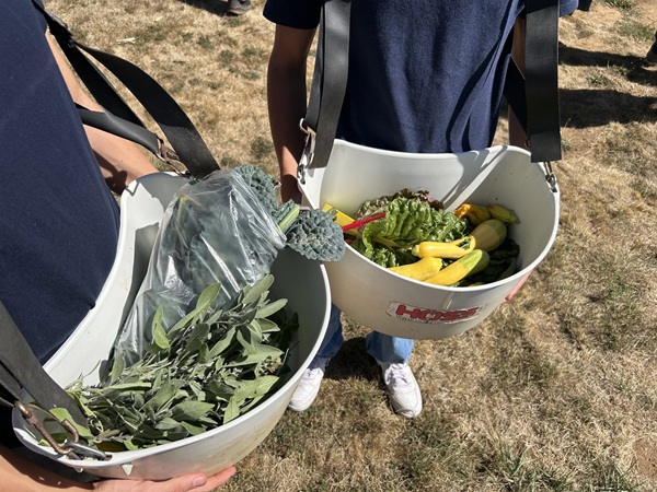 Plumas County Students Gain Farm to Table Experience Through School Collaboration