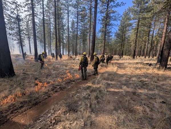 Prescribe Burn Update
