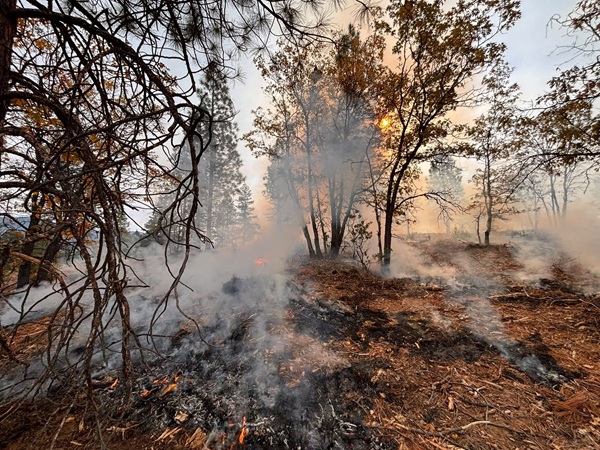 Plumas National Forest Prescribe Burns