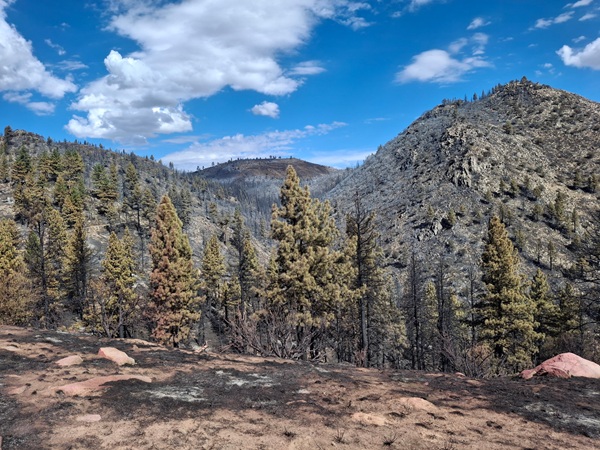 Bull Fire Update