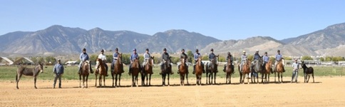 BLM and Nevada Department of Corrections Adoption Event to Offer Trained Wild Horses and Burros on October 24